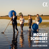 Mozart / Schubert Quartets n° 15