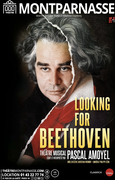 Looking for Beethoven - Press kit