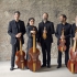 Programme Lachrimae Lyrae - photo JB Millot