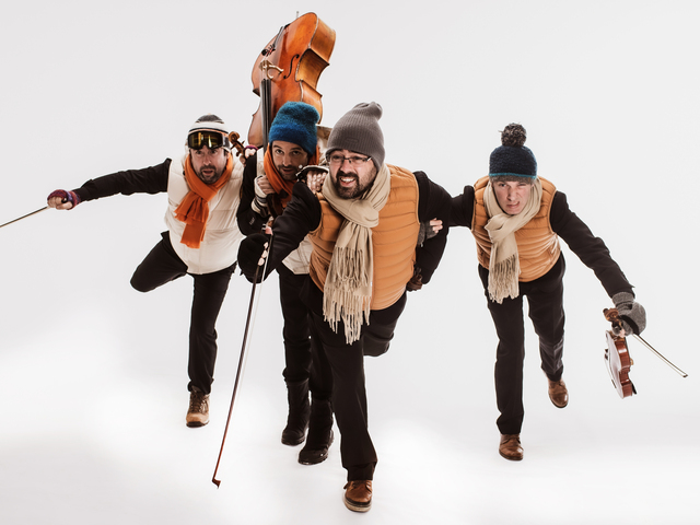 L'art délicat du quatuor - Photo A. Lauriol